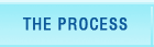 THE PROCESS